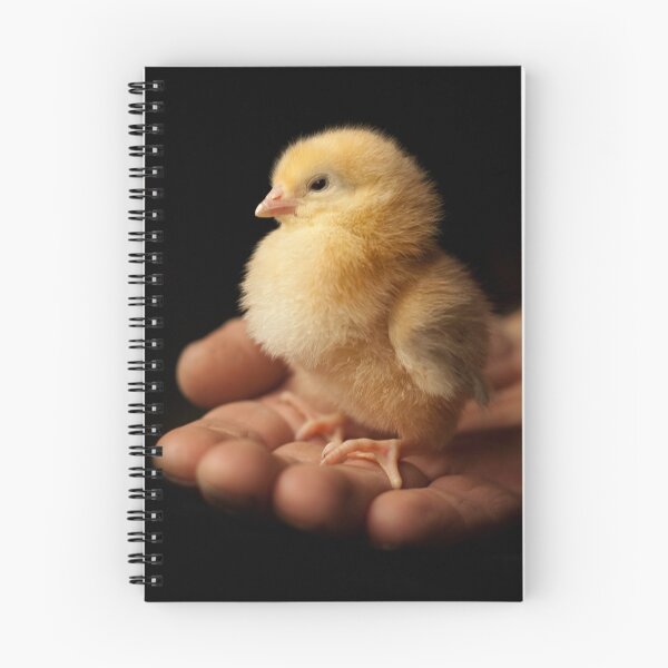 Item preview, A Bird in Hand designed and sold by Richard Barry.
