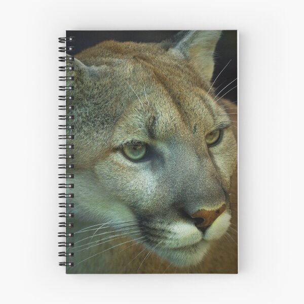 Item preview, Puma designed and sold by Cheri  McEachin.