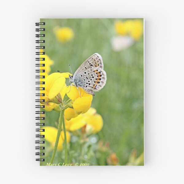 Item preview, Silver-studded Blue, Plebejus argus designed and sold by pogomcl.