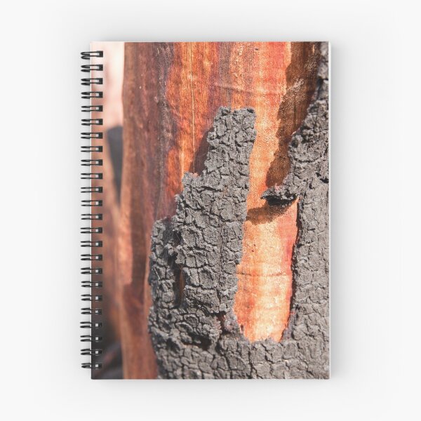Item preview, Under the charred surface designed and sold by Will Hore-Lacy.
