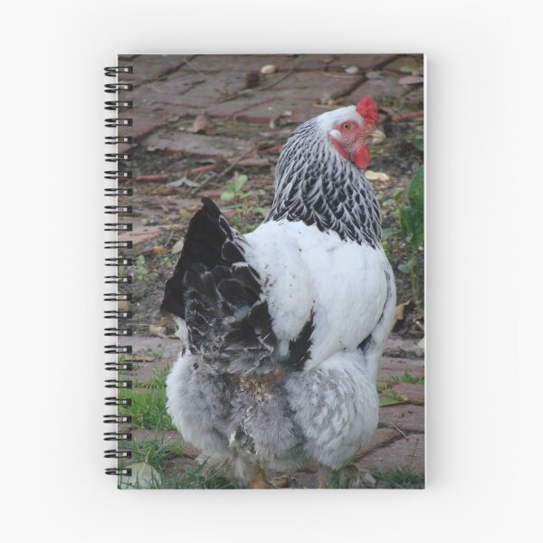 Aperçu de l'œuvre Fancy Pants Chicken créée et vendue par Linda Scott.