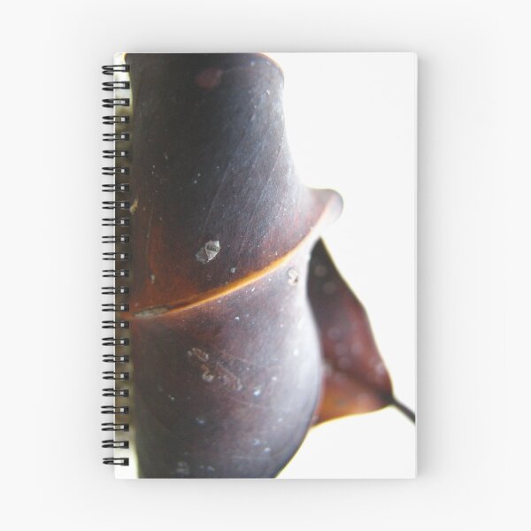Item preview, Leaf curl designed and sold by SpiralPrints.