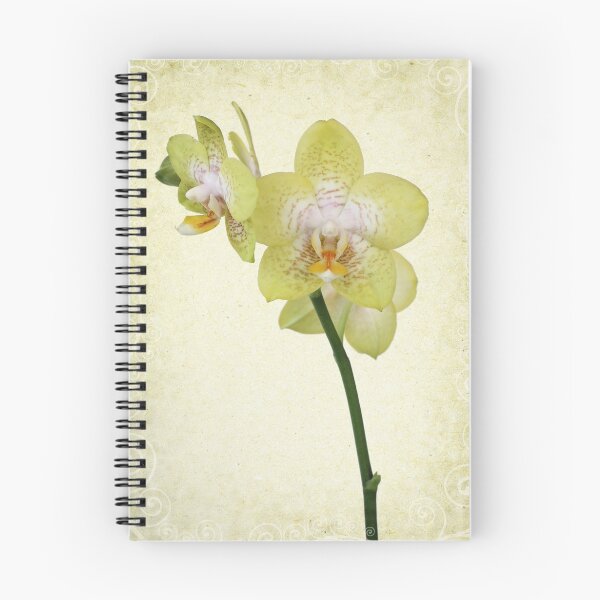 Item preview, orchid designed and sold by OldaSimek.