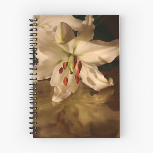 Artikelvorschau, white lilly on yellow cellophane entworfen und verkauft von Anna Goodchild.
