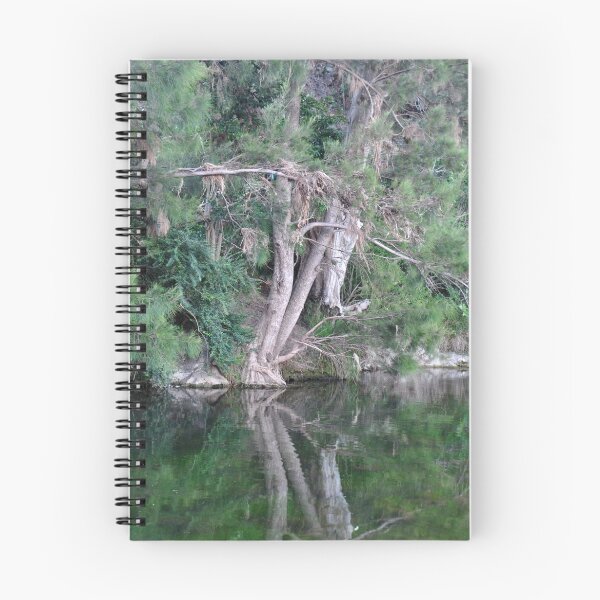 Item preview, Where the Peel River Runs - Nundle NSW Australia designed and sold by Bev Woodman.