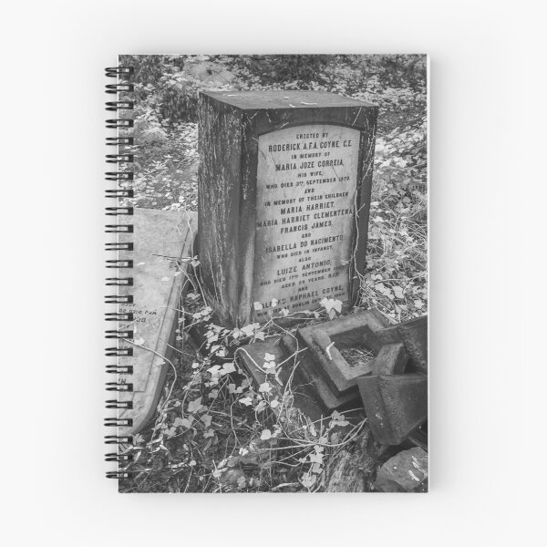 Item preview, Old Abandoned Cemetery #2 designed and sold by ccullen222.