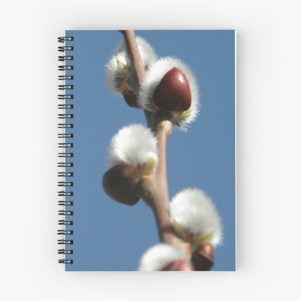 Item preview, Spring fuzzies designed and sold by John Easterhouse.