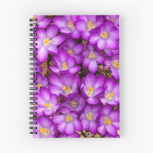Item preview, Crocuses designed and sold by Roantrum.