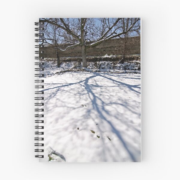 Item preview, sombra en la nieve shadow in the snow designed and sold by ser-y-star.