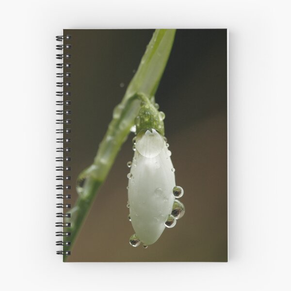 Item preview, The First Snow Drop designed and sold by JohnGaffen.