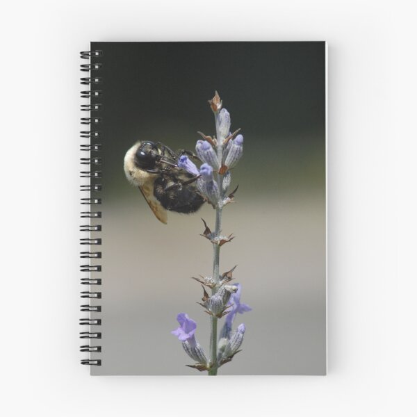 Item preview, A Bee on Lavender designed and sold by Laurel Haarer.