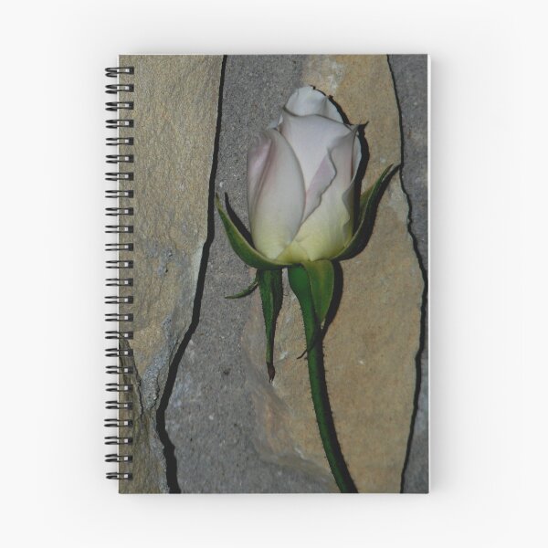 Artikelvorschau,  bud against the wall entworfen und verkauft von GuyAmazed.