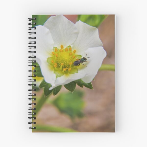 Item preview, The Pollinator designed and sold by Ransyn Art.