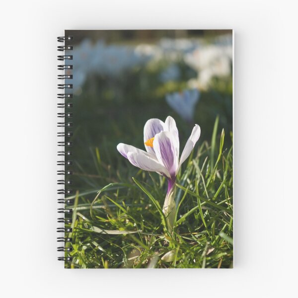 Item preview, Crocus in Bloom II designed and sold by fotddarren.
