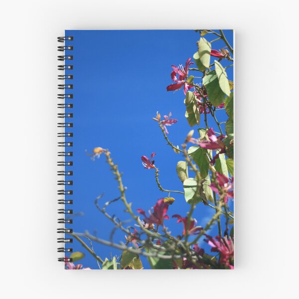 Item preview, Keep Your Head Up designed and sold by Laurie Search Fine Art Photography.