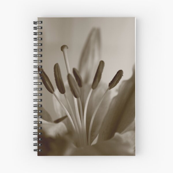 Artikelvorschau, Black and White of a lily entworfen und verkauft von MarieJones.