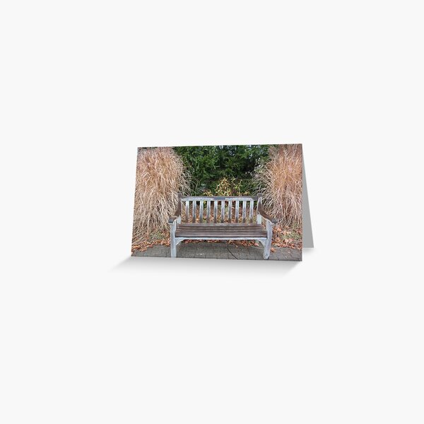 serenity bench Greeting Card