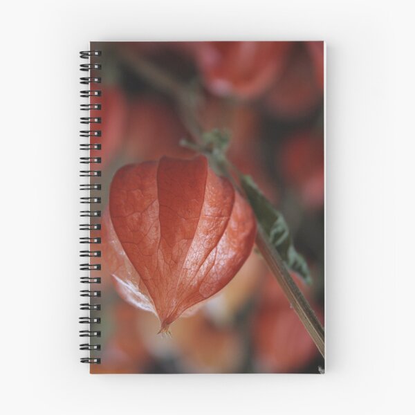 Item preview, 441x415 designed and sold by Antanas.