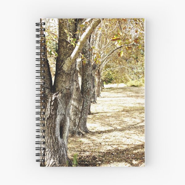 Item preview, Autumn Trees designed and sold by AdamJonesNZ.