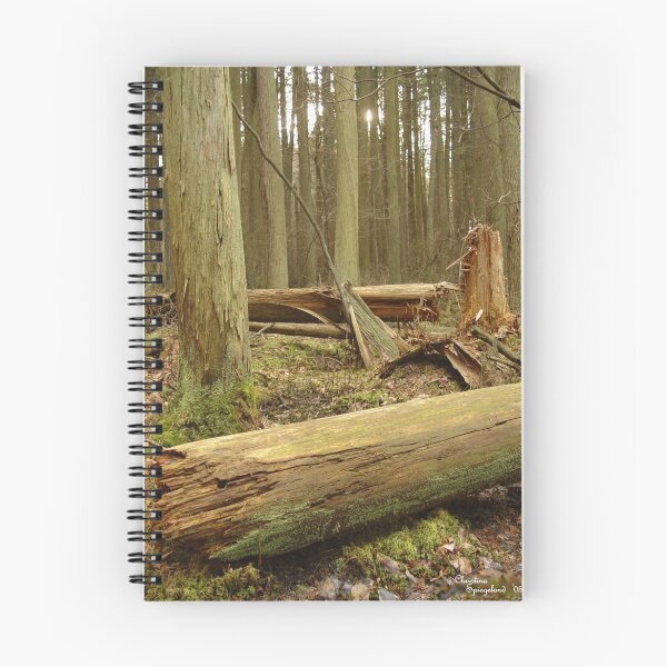 Item preview, Mossy Forest 2 - Lebanon State Forest designed and sold by TranquilArt.