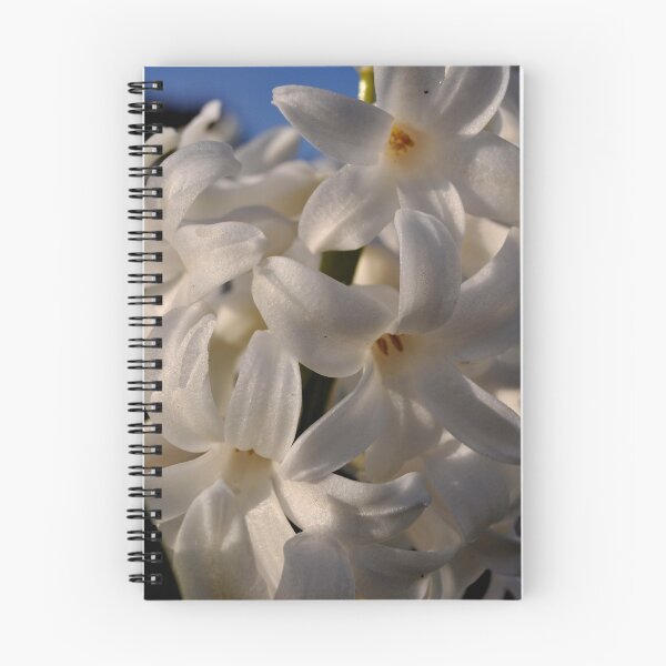 Item preview, Beauty by any other name designed and sold by imageworld.