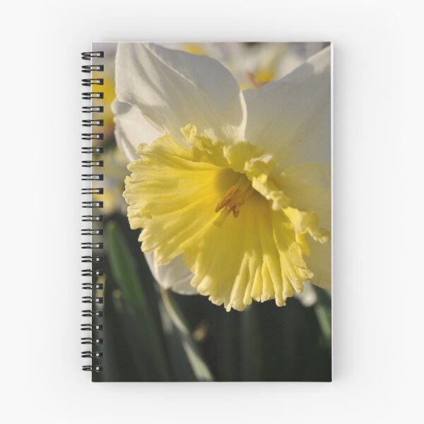 Item preview, Easter Bloom designed and sold by imageworld.