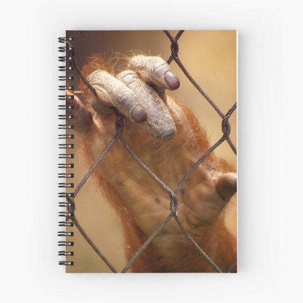 Item preview, The Orangutan's Future designed and sold by Tamara  Kenneally.