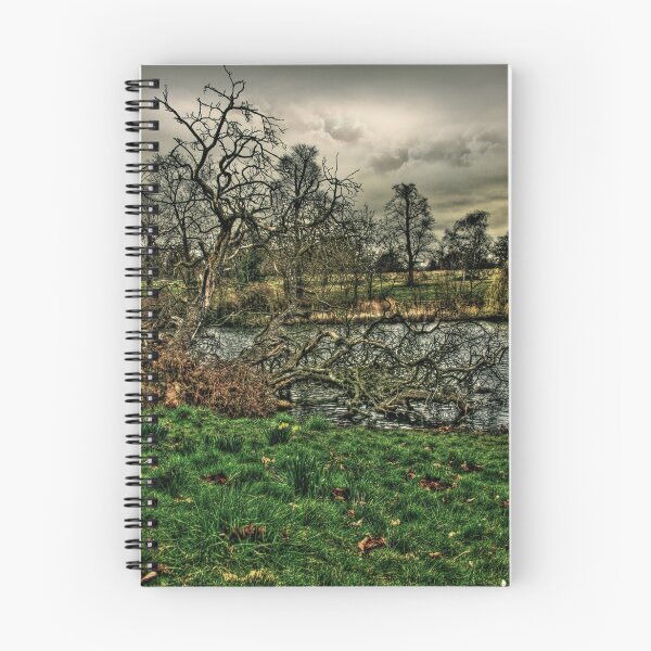 Item preview, Hyde Park designed and sold by Dane Walker.