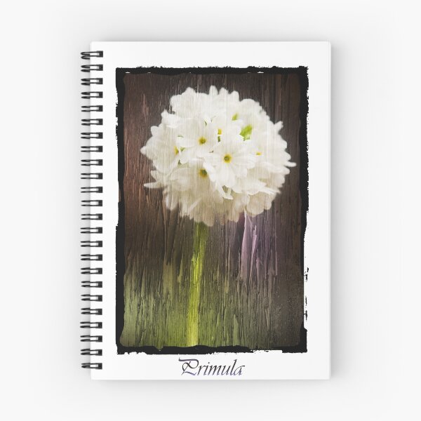 Item preview, Primula 1 designed and sold by CJTill.
