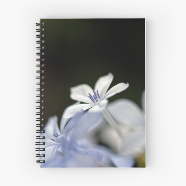 Item preview, A backyard flower I designed and sold by Lucas D'Arcy.