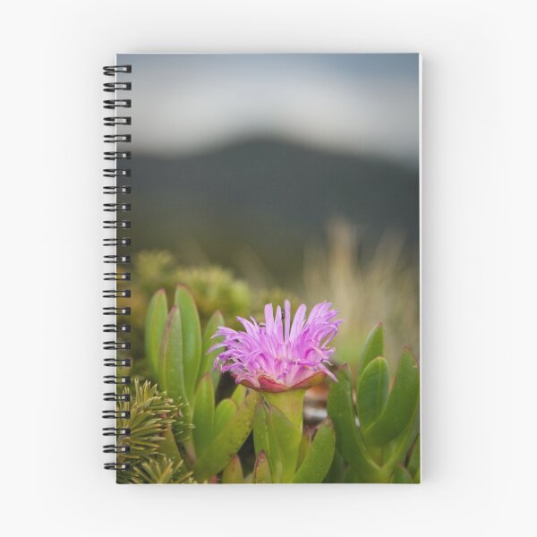 Item preview, Native Pigface - South East Cape, Tasmania designed and sold by offthewall88.