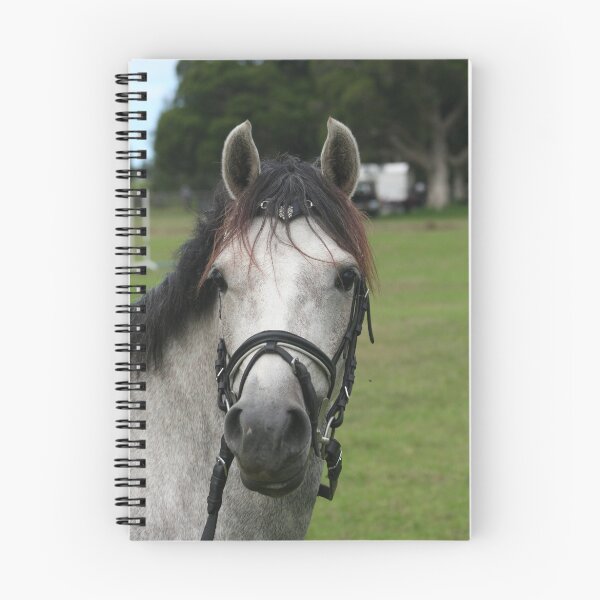 Item preview, Look at Me! designed and sold by Jennifer Saville.
