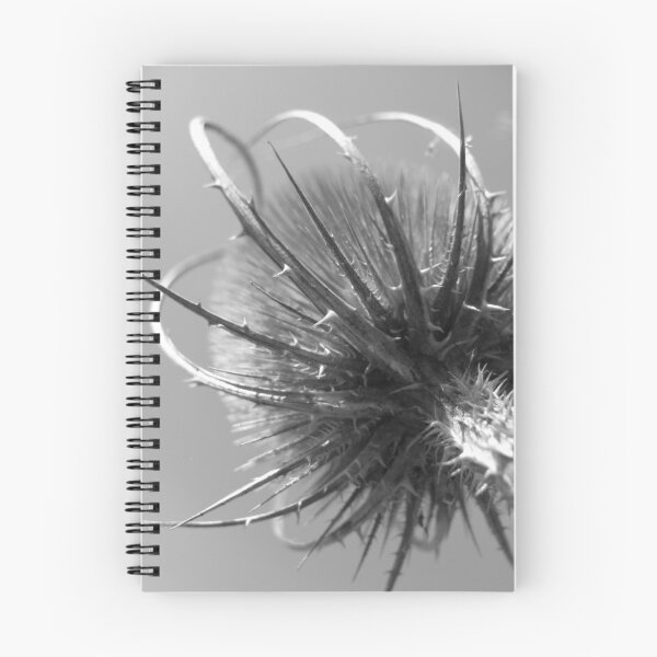 Item preview, Summer Thorns designed and sold by SpiralPrints.