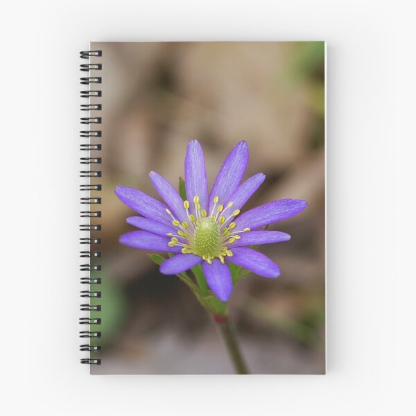 Item preview, Windflower designed and sold by Bill Morgenstern.