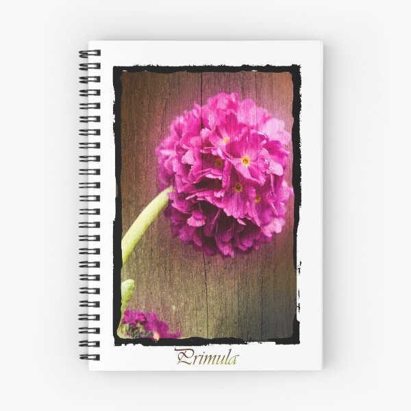 Item preview, Primula  3 designed and sold by CJTill.