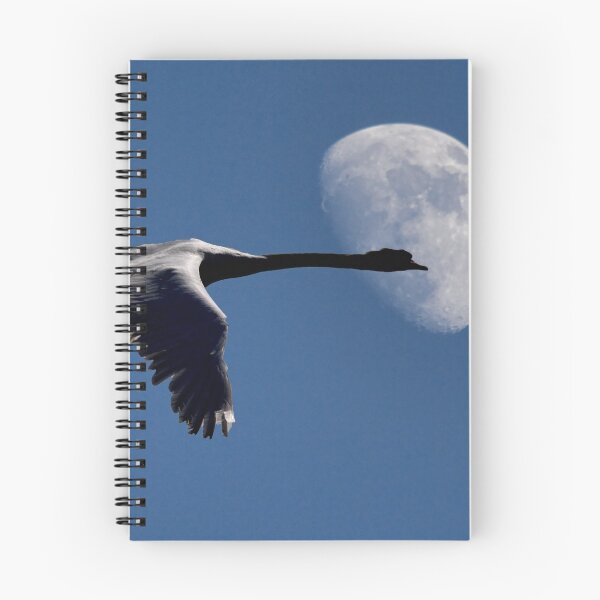 Item preview, Swan and Moon designed and sold by John Lines.