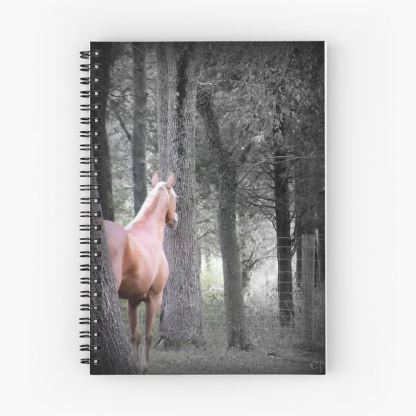 Item preview, Gazing off into the Distance designed and sold by ctgponies.