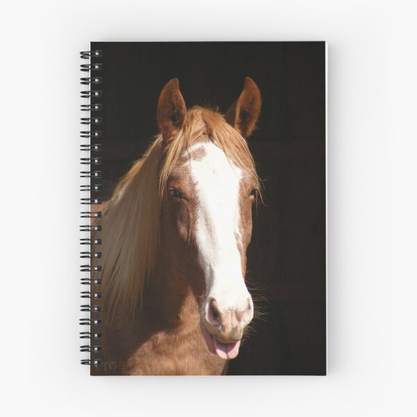 Item preview, Tinker tells us what he thinks designed and sold by ctgponies.