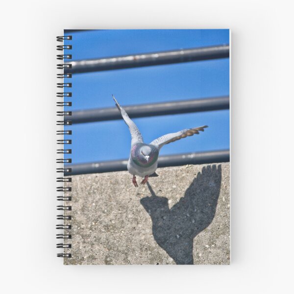 Item preview, Pigeon in Flight designed and sold by GPMPhotography.