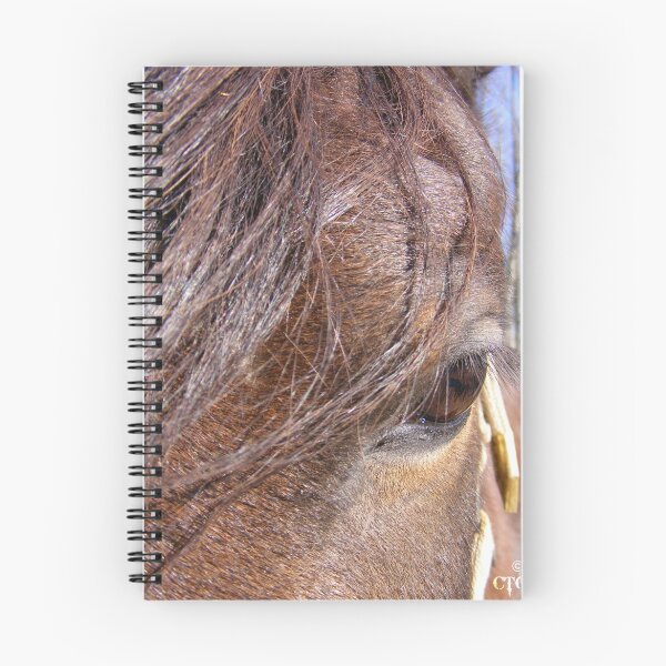 Item preview, Pensive designed and sold by ctgponies.