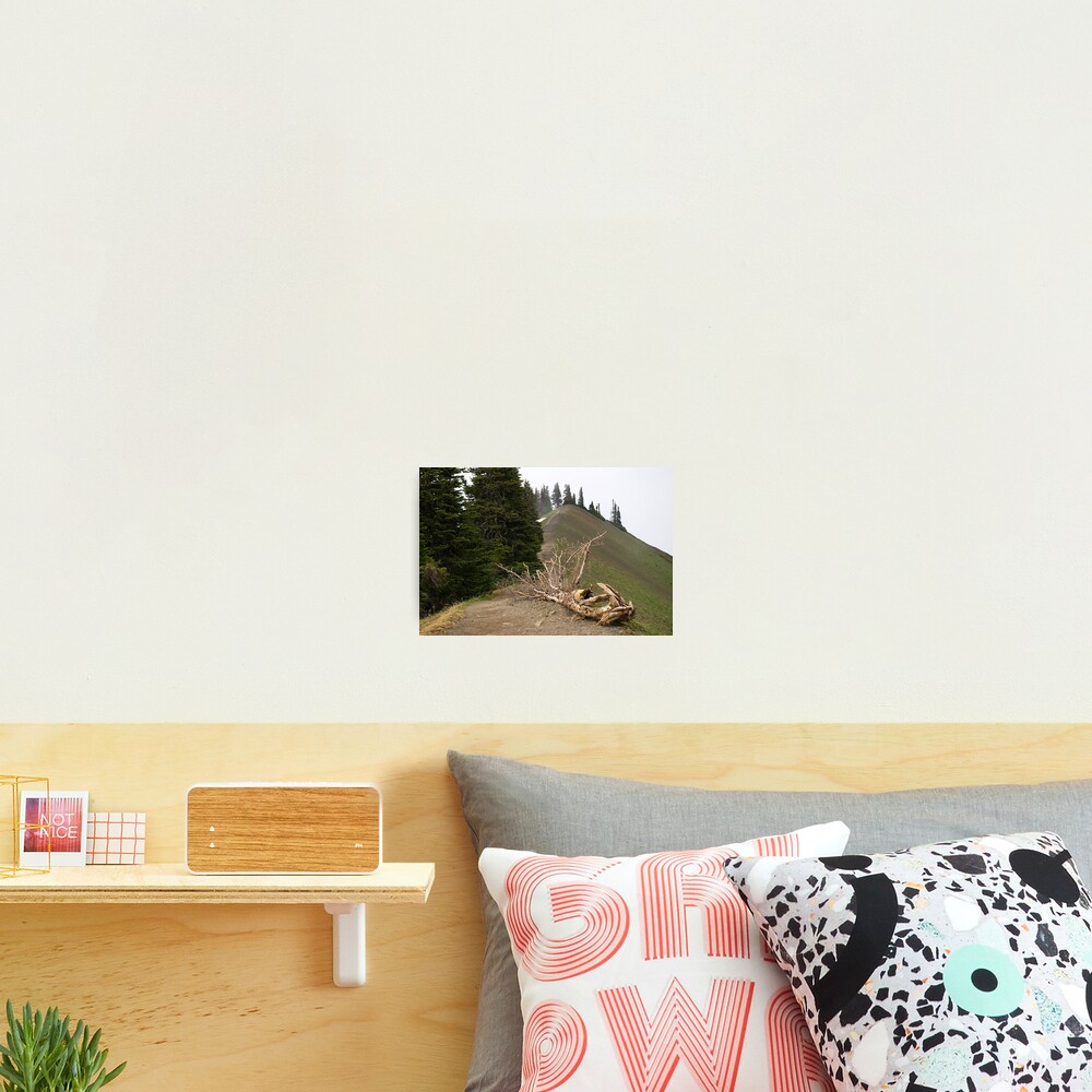 Item preview, Photographic Print designed and sold by rdshaw.