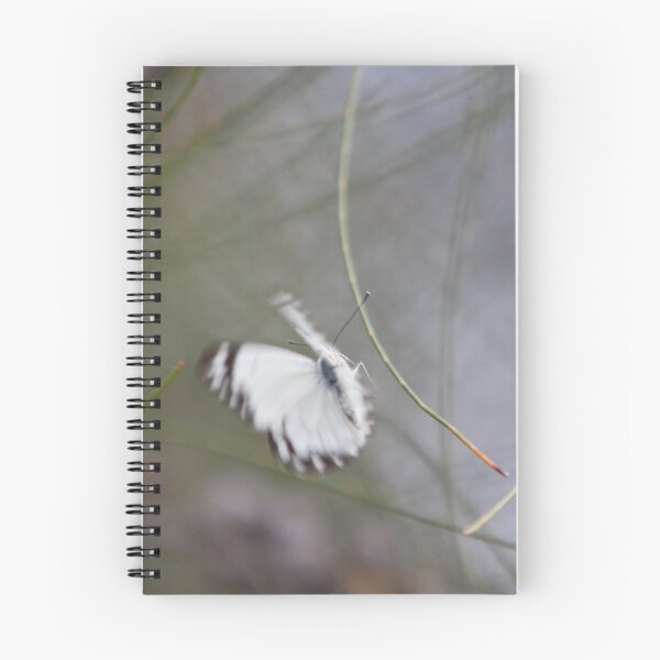 Artikelvorschau, Butterfly in Flight - Newport Lakes entworfen und verkauft von Andrew Arch.