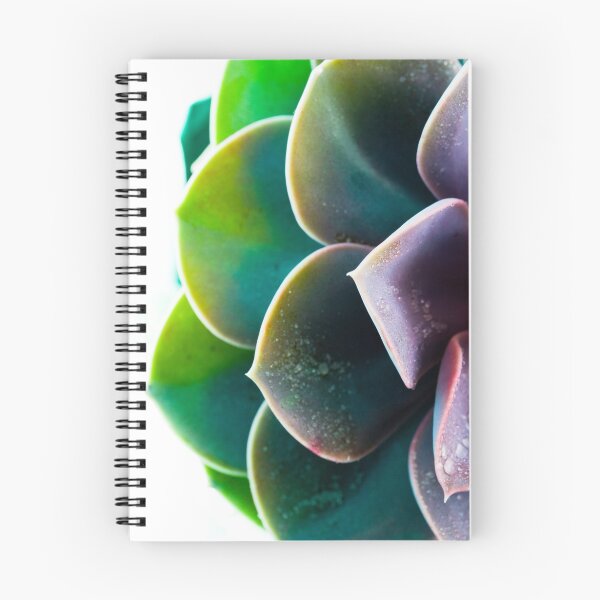 Item preview, Succulent designed and sold by Minna  Waring.