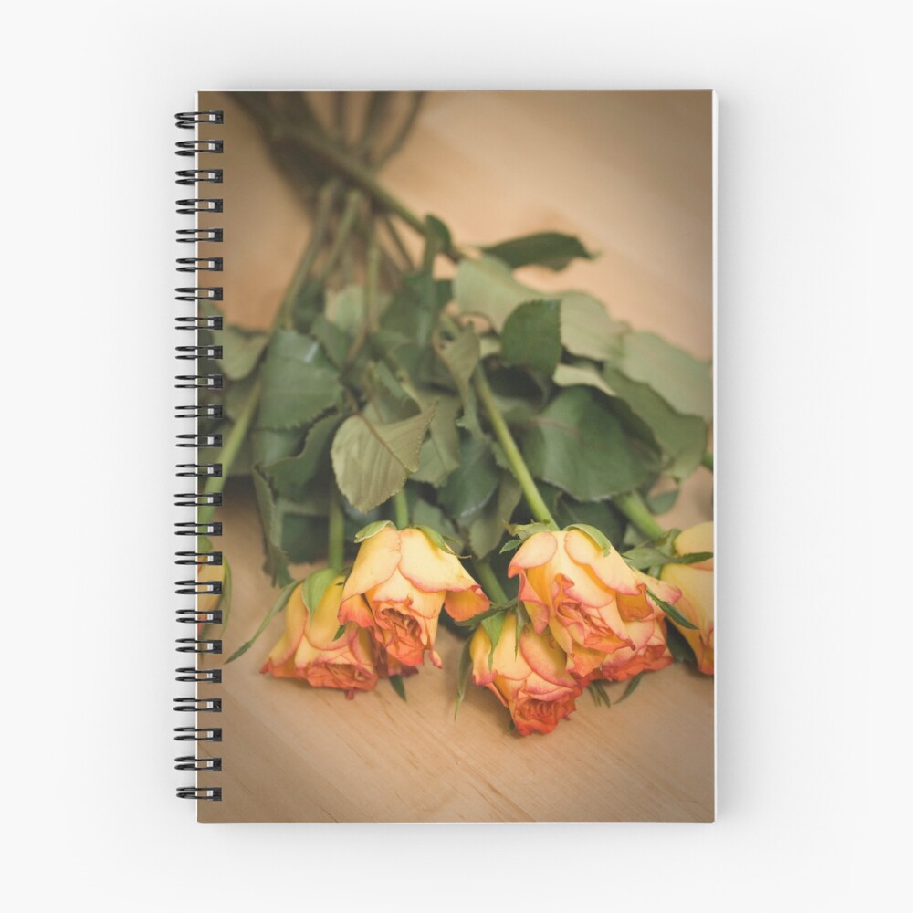 Vista previa del artículo con la obra «Cuaderno de espiral», diseñado y vendido por alanrigg.