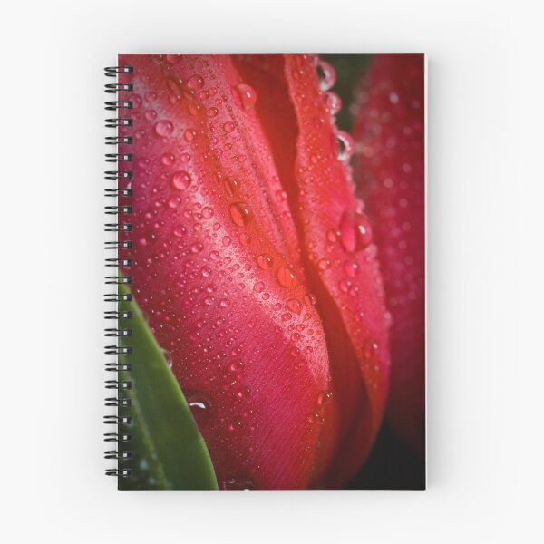 Artikelvorschau, Tulip Tears entworfen und verkauft von alanrigg.