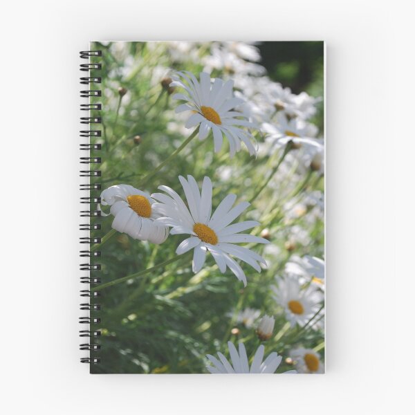 Item preview, Daisy's Alive! designed and sold by Lozzar Flowers & Art.