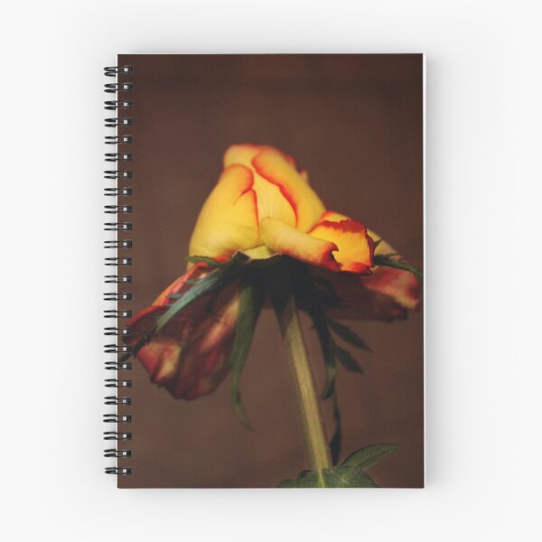 Item preview, Roze in brown designed and sold by Antanas.
