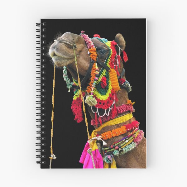 Item preview, TECHNICOLOR CAMEL - RAJASTHAN designed and sold by Michael Sheridan.