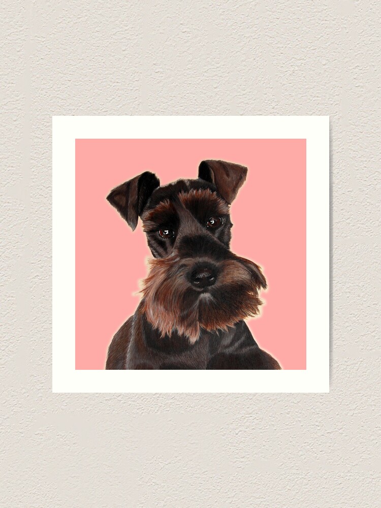 mini schnauzer art