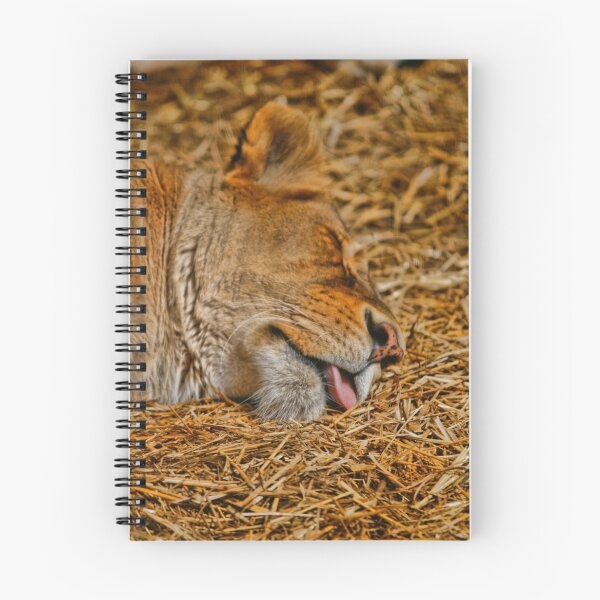 Artikelvorschau, Sleepy Cat entworfen und verkauft von GPMPhotography.